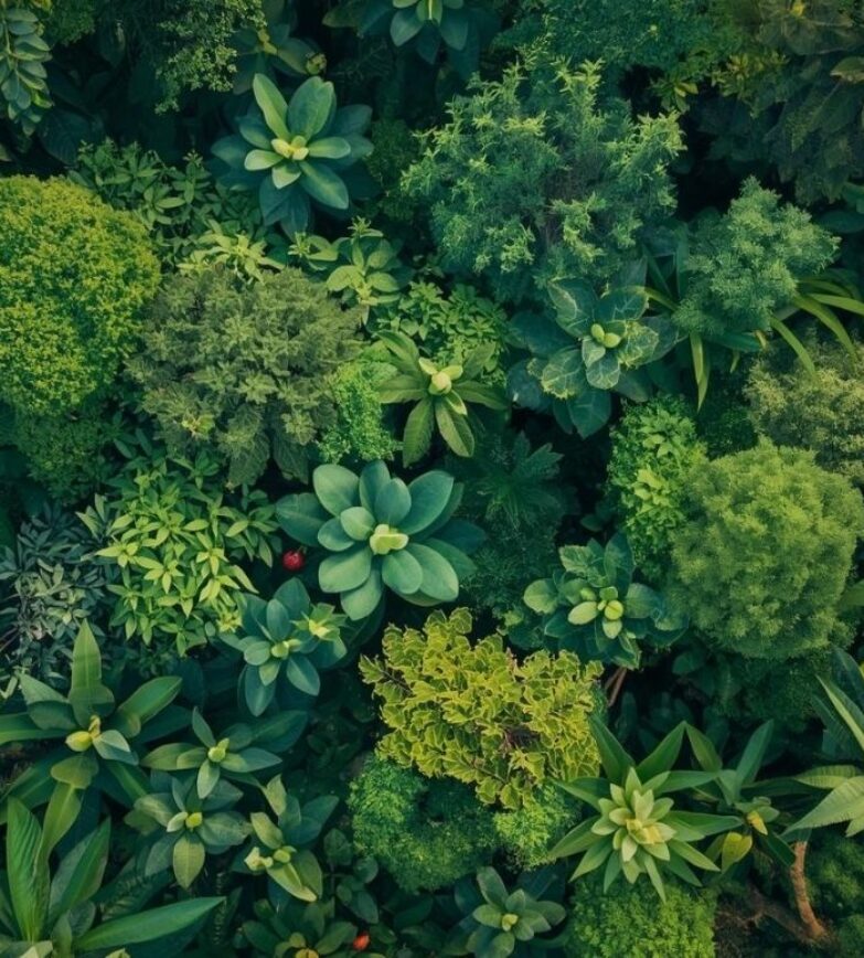 Website Banner 2 (1920 x 720 px)